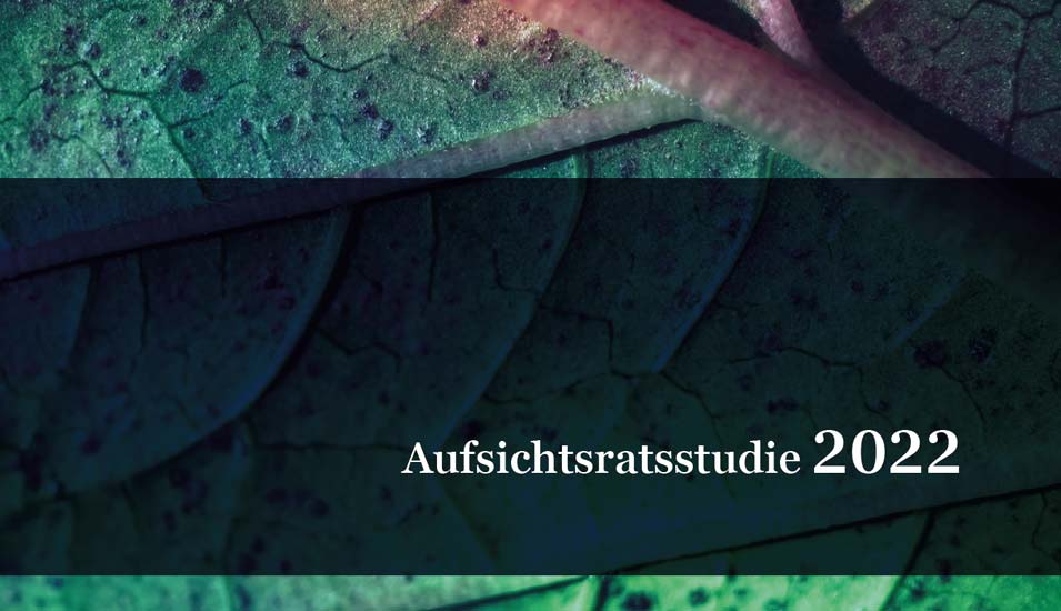 Aufsichtsratsstudie 2022